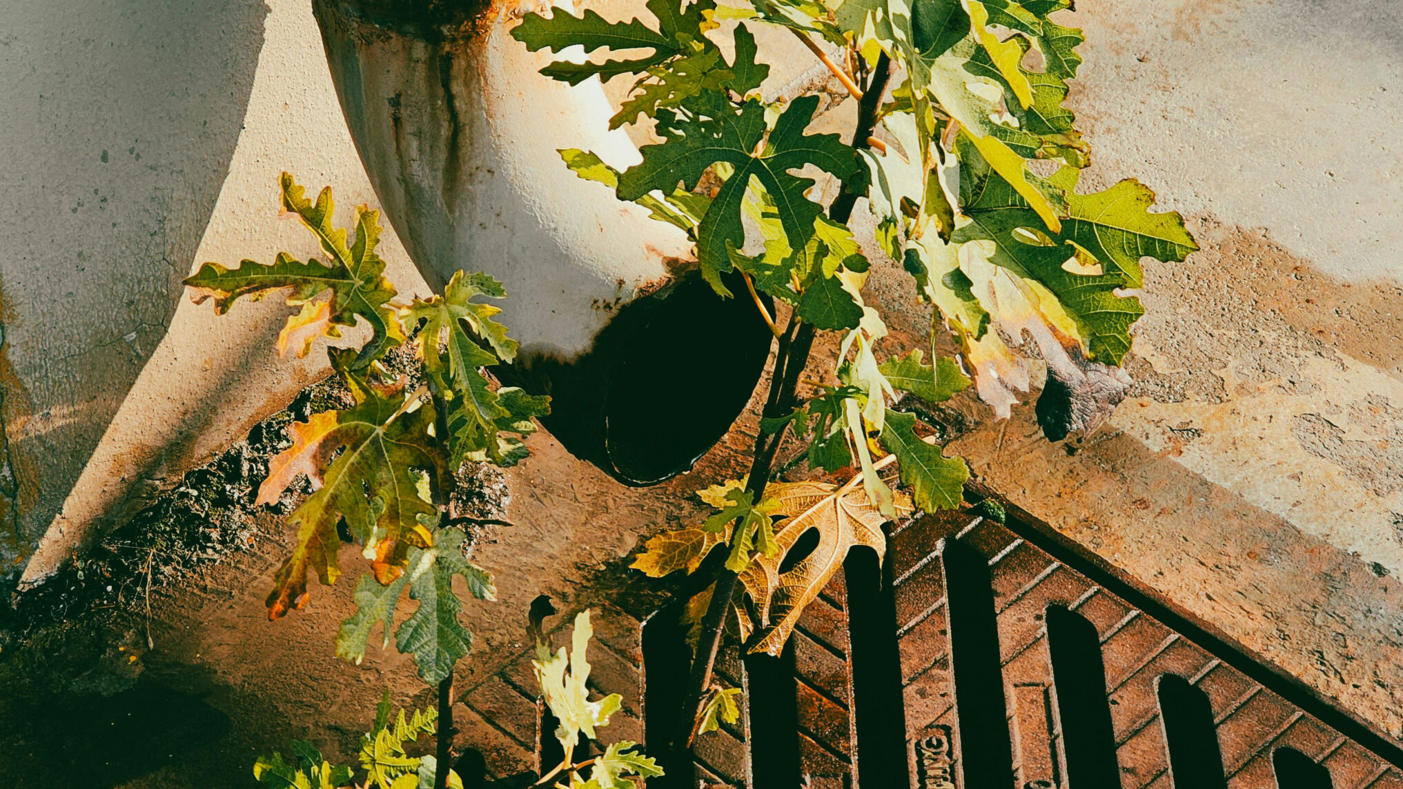 Gutter Repair in Pittsburgh, PA